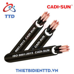 cap-dieu-khien-khong-chong-nhieu-300-500v-cu-pvc-pvc-cadisun